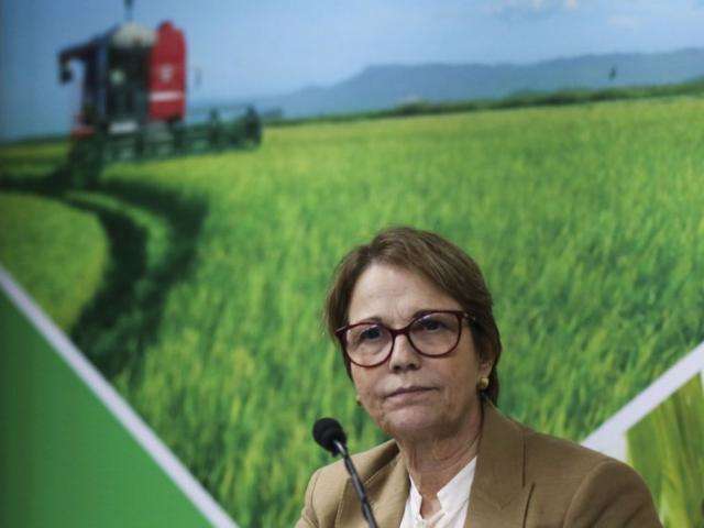 Acordo UE-Mercosul: ministra n&atilde;o v&ecirc; entraves &agrave;s exporta&ccedil;&otilde;es do Brasil