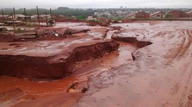 Chuva forte e rajadas de vento de 80 Km por hora devastam planta&ccedil;&otilde;es