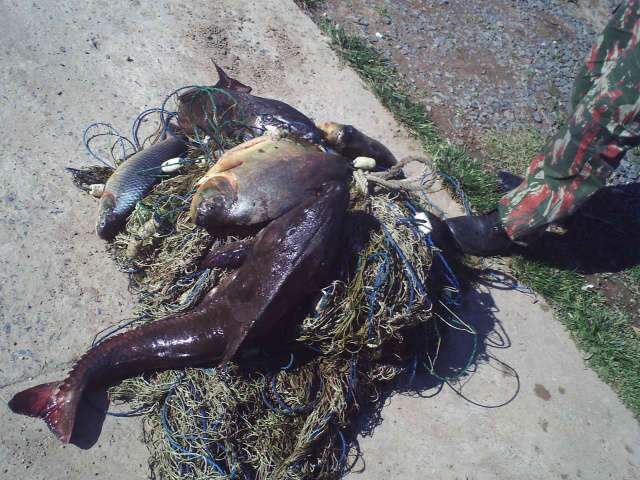  Pol&iacute;cia prende quatro homens por pesca predat&oacute;ria no Rio Paraguai