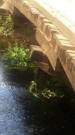 Ponte comprometida na Estrada Parque preocupa produtores rurais