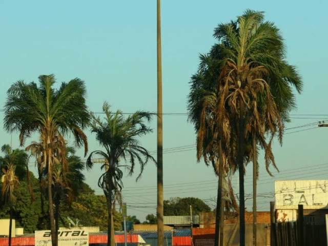 Ap&oacute;s 20 dias sem chuva, garoa alivia tempo seco em Campo Grande