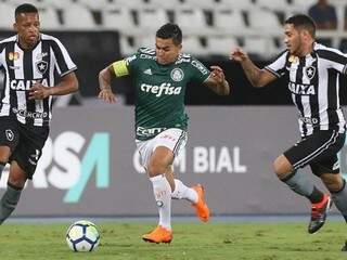 Com o empate, os times adquiriram cada um, um ponto na tabela do Campeonato Brasileiro. (Foto: Palmeiras FC) 