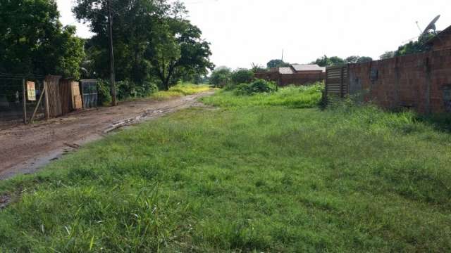 Rua tem nome no mapa, mas desaparece no meio da sujeira e matagal