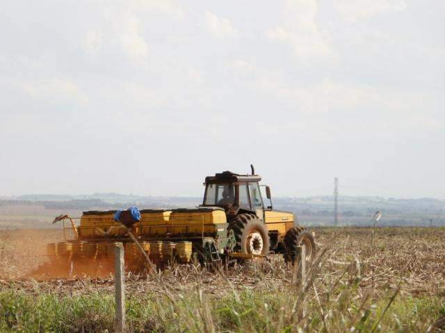 Com chuvarada, 75% da &aacute;rea de soja ainda n&atilde;o foi semeada em MS