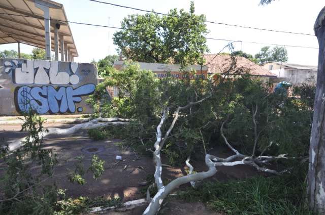  Chuvas causam transtornos com alagamentos e queda de cinco &aacute;rvores