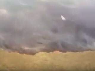 Incêndio começou na quinta-feira com cordão de fogo de 2 quilômetros (Reprodução/vídeo)