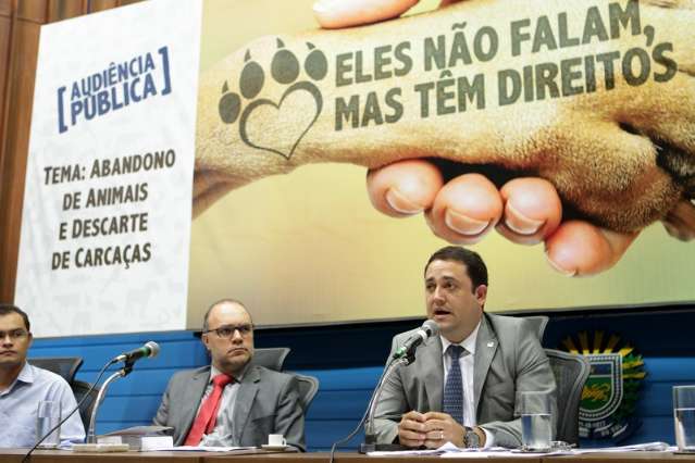Deputado prop&otilde;e projeto para controlar a reprodu&ccedil;&atilde;o de animais dom&eacute;sticos