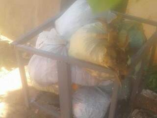 Lixo acumula-se em cestas no Portal da Lagoa (Foto: Direto das Ruas)