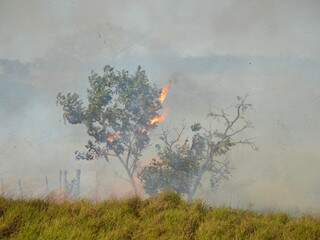 Com o tempo seco, Estado enfrenta a temporada do fogo. (Foto: Minamar Júnior)