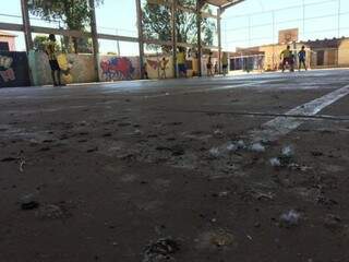 Fezes de pombos em escola municipal onde há a presença do fungo (Foto: Divulgação)