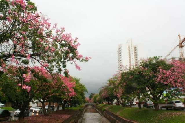 Campo Grande recebe o Outono com garoa fina e temperatura amena