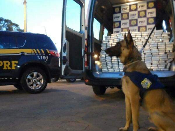 PRF apreende furg&atilde;o com aproximadamente 200 kg de coca&iacute;na na BR-267