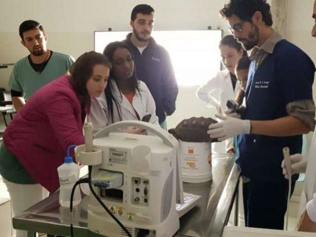 Pets ex&oacute;ticos podem ser atendidos de gra&ccedil;a por alunos de universidade