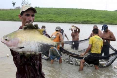 Produtores de Figueirão têm a piscicultura como alternativa econômica