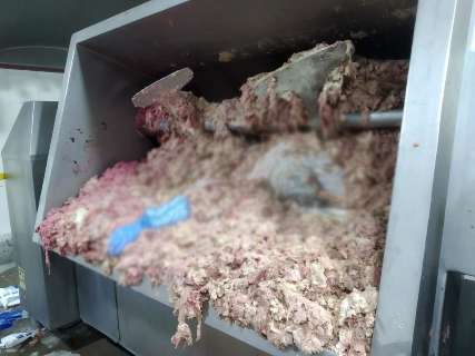 Funcionário morre ao cair em máquina de moer carne em frigorífico