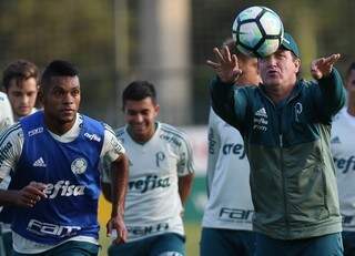 O colombiano Miguel Borja terá a chance de iniciar um jogo como titular neste sábado. Cuca aposta na recuperação do jogador (Foto: Palmeiras/Divulgação)