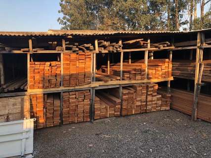 Empresas são suspeitas de fraudar notas para comércio ilegal de madeira