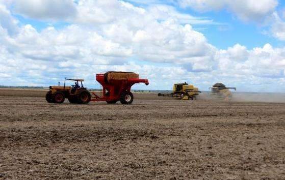 Com 6,6 milh&otilde;es de toneladas de soja colhidas, MS ter&aacute; novo recorde 