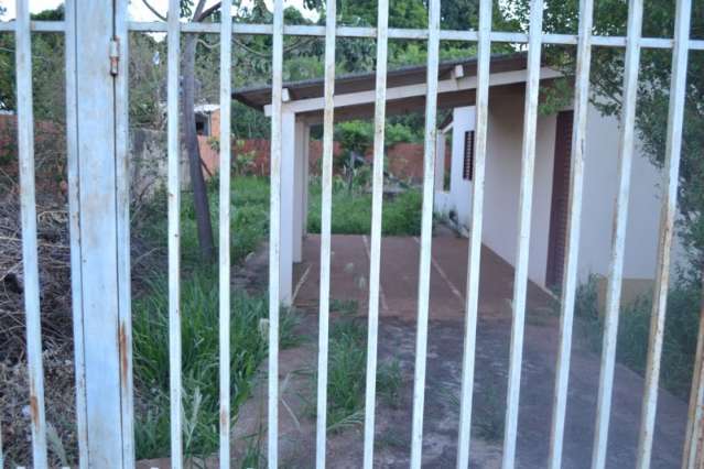 Abelhas invadem casas, atacam moradores e criam p&acirc;nico em bairro