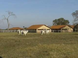 Propriedade rural terá lance mínimo de R$ 2,1 milhões. 