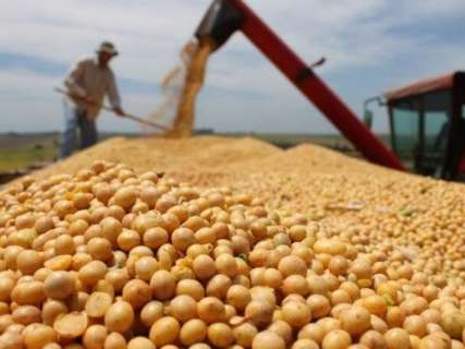 Colheita de soja tem queda de 11% devido a estiagem no final do ano 