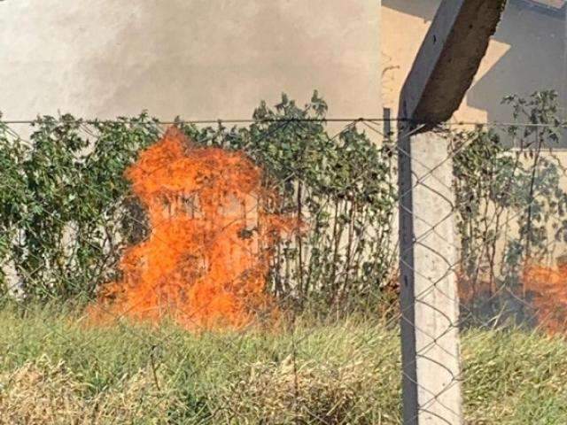 Com queimadas, moradores criam grupo de vigil&acirc;ncia e divulgam flagrantes