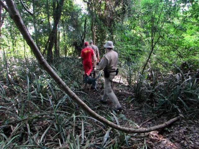Com a ajuda de c&atilde;es farejadores, bombeiros encontram corpo de jovem