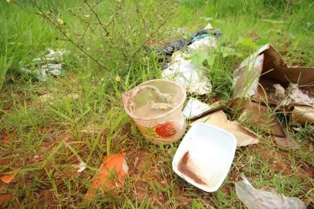 Campo Grande e mais 38 cidades est&atilde;o em alerta para doen&ccedil;as do &quot;Aedes&quot;