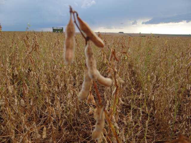 Curso sobre fertilidade e adubação do solo será ministrado na Capital