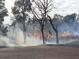 Queimada em uma área de vegetação em frente a Energisa destruiu 1 hectare de vegetação (Foto: Ronie Cruz)