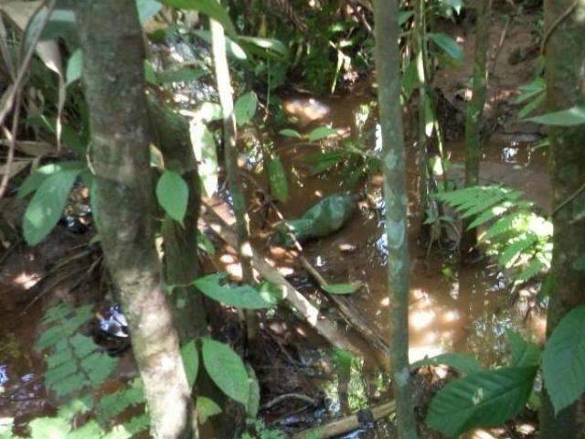 Homem &eacute; achado com hipotermia e ferido dentro do C&oacute;rrego B&aacute;lsamo