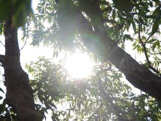 Em Campo Grande temperatura máxima chegou a 35ºC (Foto: Paulo Francis)