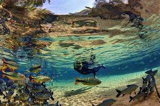 A flutuação nos rios da cidade permite observação de peixes. (Foto: Marcio Cabral/ Bonito Web)