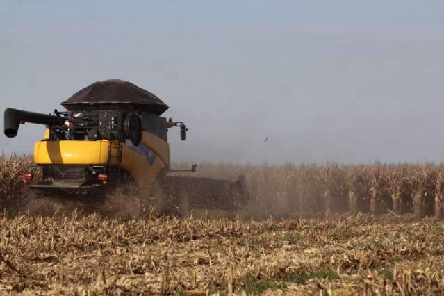 Agricultores de MS j&aacute; colheram 9% do milho safrinha