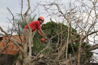 Militar trabalhando na retirada dos galhos da árvore que caiu sobre uma residência da Comunidade Tia Eva, na Capital (Foto: Kísie Ainoã)