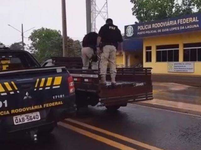 Traficante fura bloqueio, mas &eacute; perseguido e preso com 152 quilos de maconha 