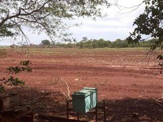 Área de agricultura perto da aldeia Bororó; produtores temem confronto ao retomarem plantio amanhã (Foto: Direto das Ruas)