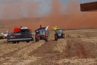 De acordo com o Levantamento Sistemático da Produção Agrícola do IBGE, a safra de grãos brasileira será recorde e as previsões de setembro aumentaram tanto em relação à produção quanto à área plantada (Arquivo/Agência Brasil)