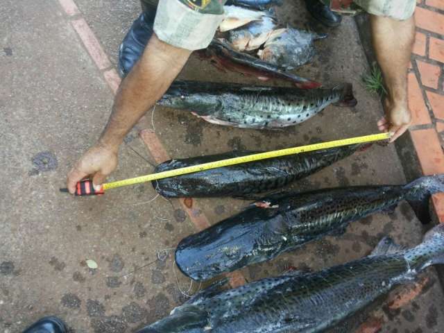 Pol&iacute;cia prende tr&ecirc;s paranaenses por pesca predat&oacute;ria com 44 kg de pescado ilegal