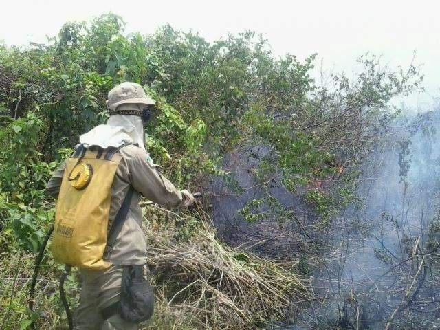 Passada &eacute;poca chuvosa, dezembro tem aumento de 85% nos inc&ecirc;ndios 