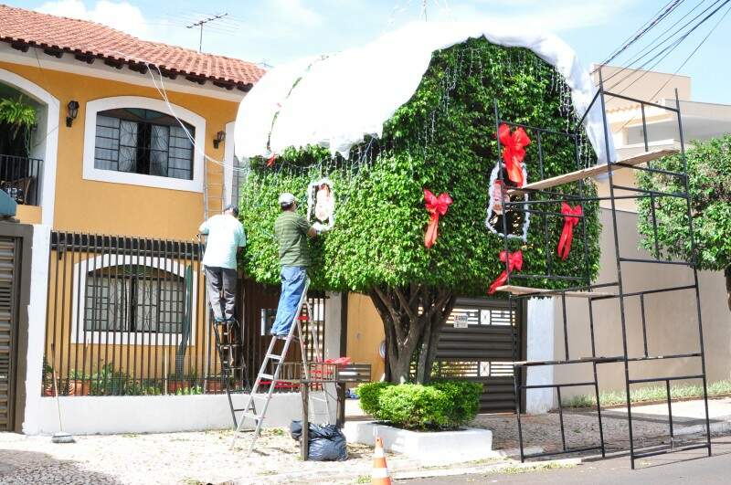 A atração da árvore de natal gigante na calçada de casa - Comportamento -  Campo Grande News