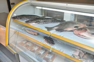 Peixes serão comercializados com preços atrativos. (Foto: Marcelo Calazans)