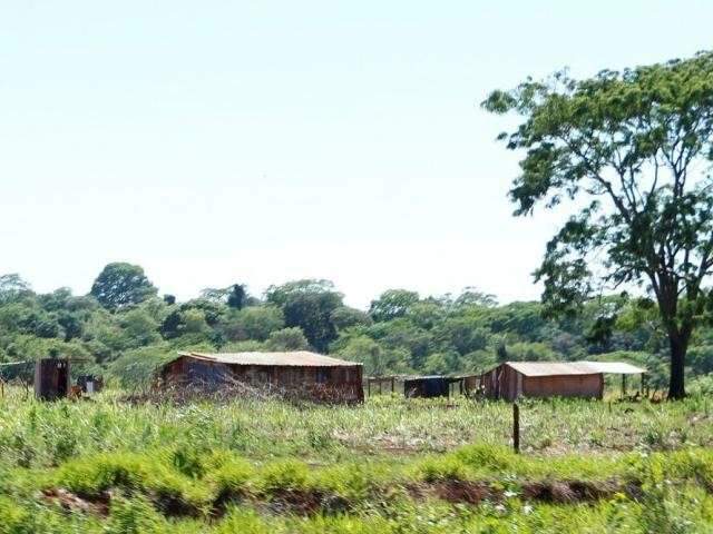 STF suspende reintegra&ccedil;&atilde;o de posse de s&iacute;tios invadidos por ind&iacute;genas