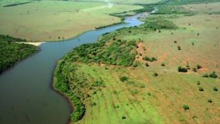Área de Proteção Ambiental do córrego Guariroba (Divulgação/PMCG)
