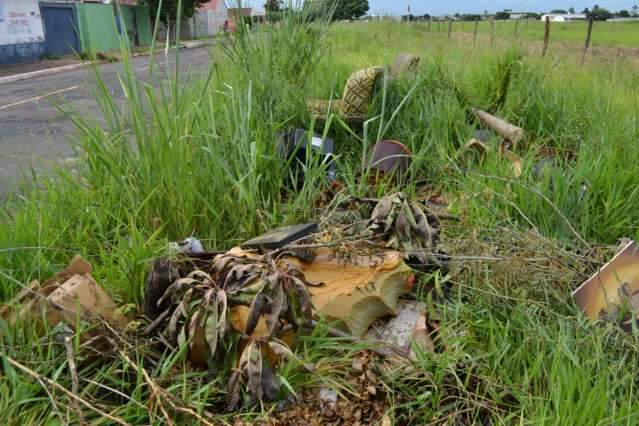 Mato alto em via movimentada muda a rotina de motoristas e moradores