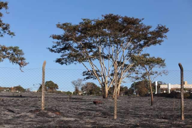 Tempo seco, calor e fogo no mato: equa&ccedil;&atilde;o que torna os dias dif&iacute;ceis