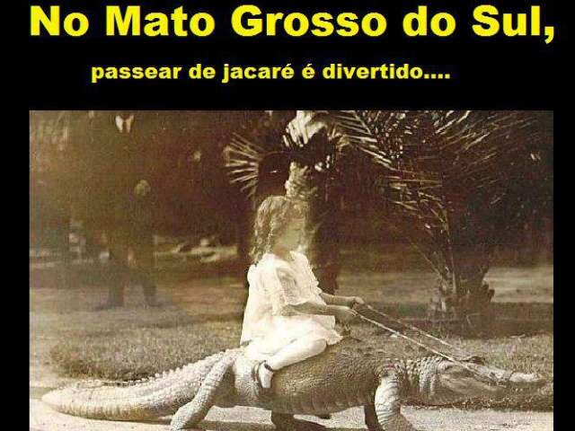 Pol&ecirc;mica na internet: Mato Grosso do Sul &eacute; assim?