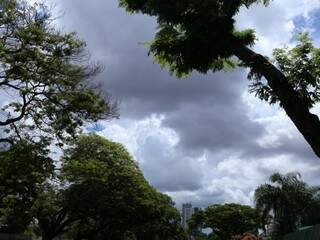 Árvores compõem cenário do céu entre nuvens, em Campo Grande. (Foto: Kísie Ainoã).