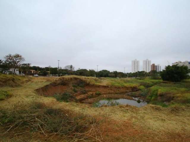 Salva&ccedil;&atilde;o de lago no Parque nas Na&ccedil;&otilde;es depende de obra da Prefeitura 
