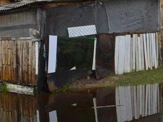 Casa de ribeirinho comprometida pela água. (Foto: Iasmim Amiden/ Ecoa)